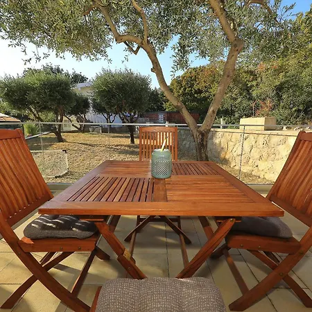 Paulina * Šibuljina